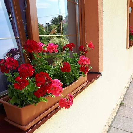Ubytovanie U Aleny Ubytování v soukromí *